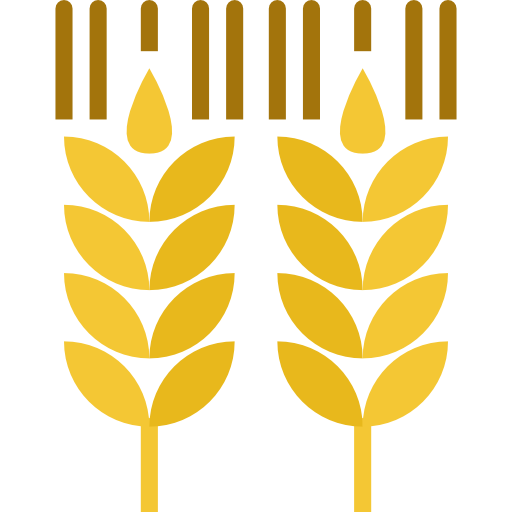 Wheat dDara Flat icon