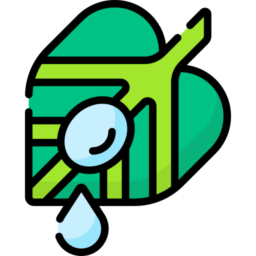 Dew Special Lineal color icon