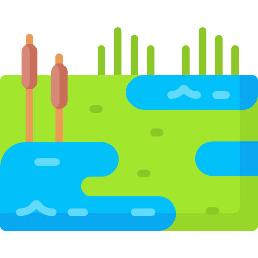 Wetland Special Flat icon
