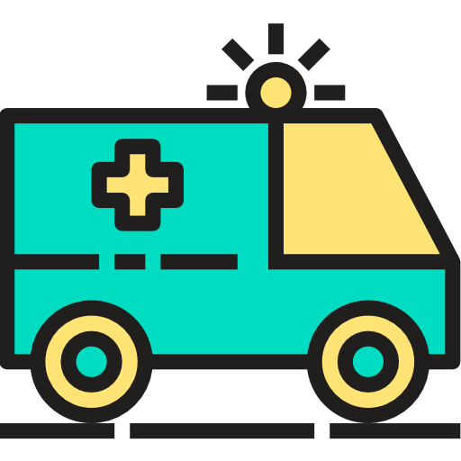 ambulance Phatplus Lineal Color icoon