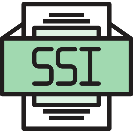 ssi Phatplus Lineal Color icon