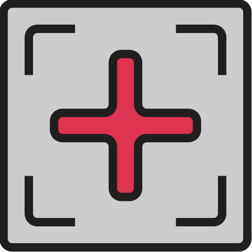 ziel Phatplus Lineal Color icon