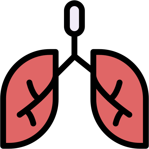 pulmones Generic color lineal-color icono