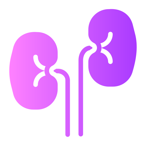 Kidneys Generic gradient fill icon