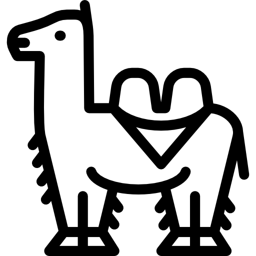 サーカスのラクダ Special Lineal icon