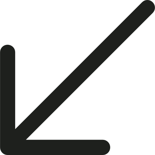 flecha diagonal Lyolya Lineal icono