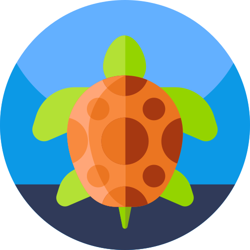 schildkröte Detailed Flat Circular Flat icon