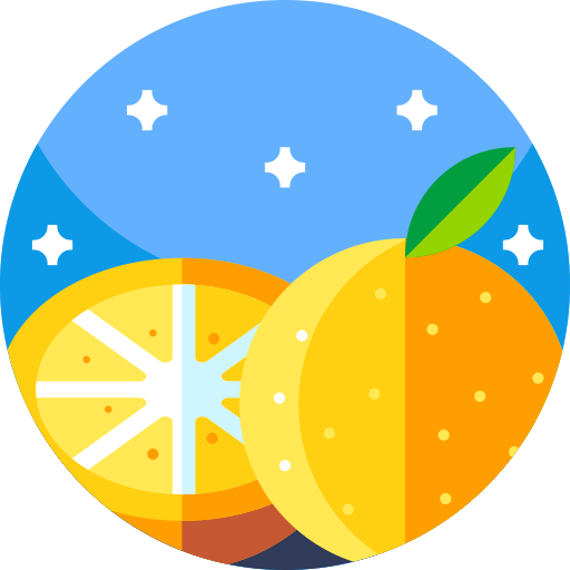 주황색 Detailed Flat Circular Flat icon