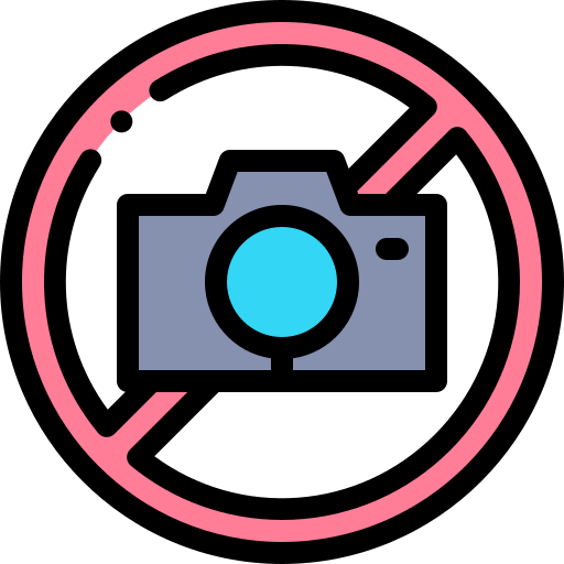 Photograph Detailed Rounded Lineal color icon