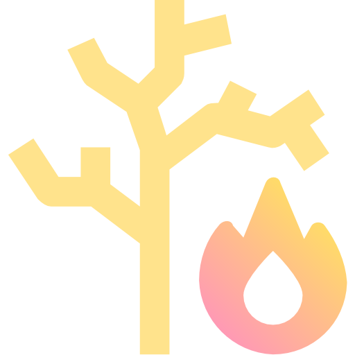Огонь Fatima Yellow иконка
