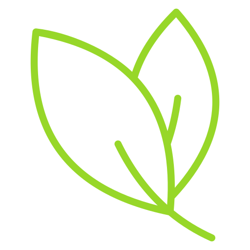 Leaf Generic color outline icon