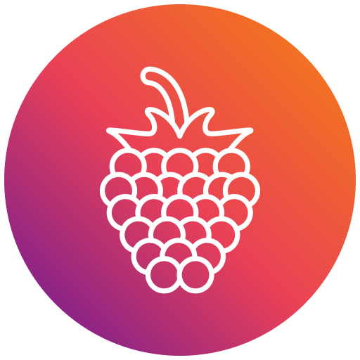 Raspberry Generic gradient fill icon