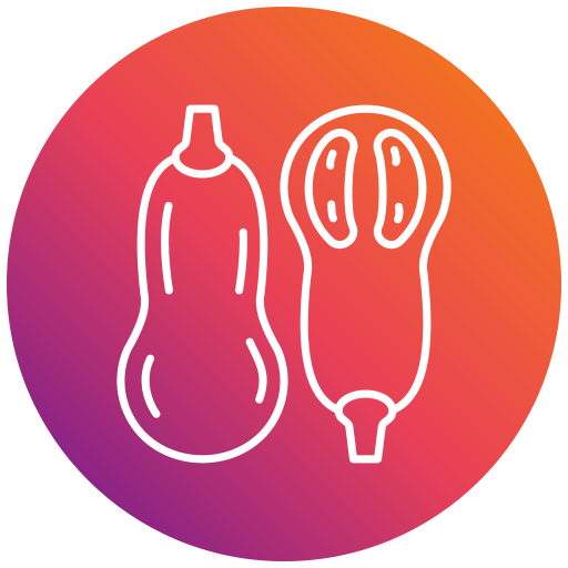 Butternut squash Generic gradient fill icon