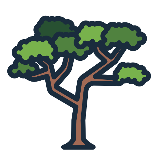 Acacia Generic color lineal-color icon