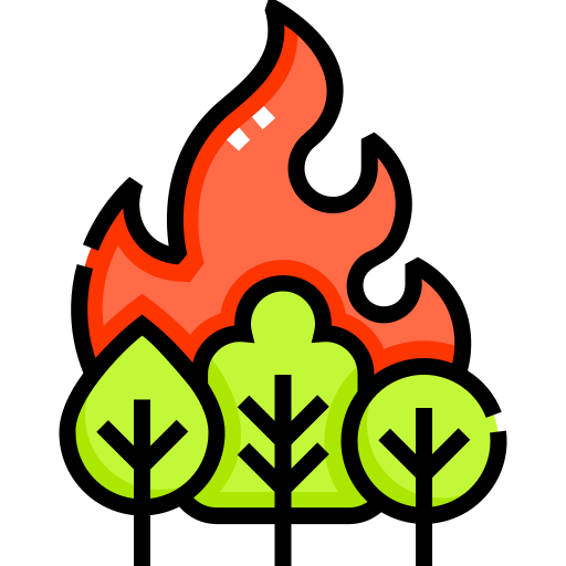 Wildfire Detailed Straight Lineal color icon