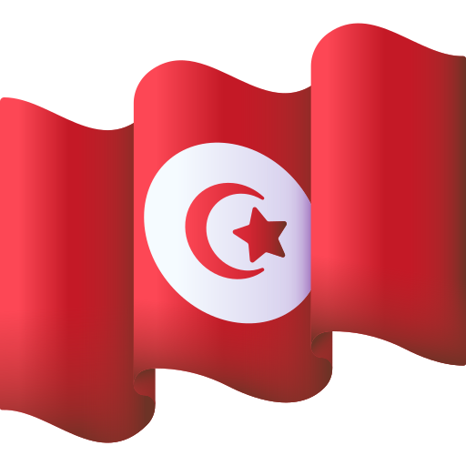 bandiera tunisina 3D Color icona