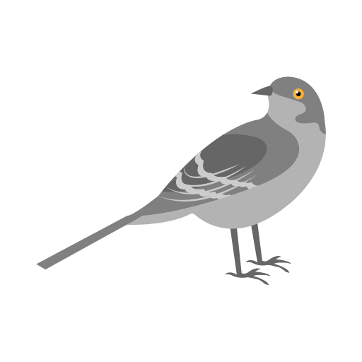 Wagtail Vector Stall Flat icon