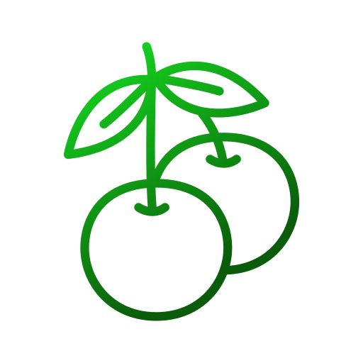 Cherry Generic gradient outline icon