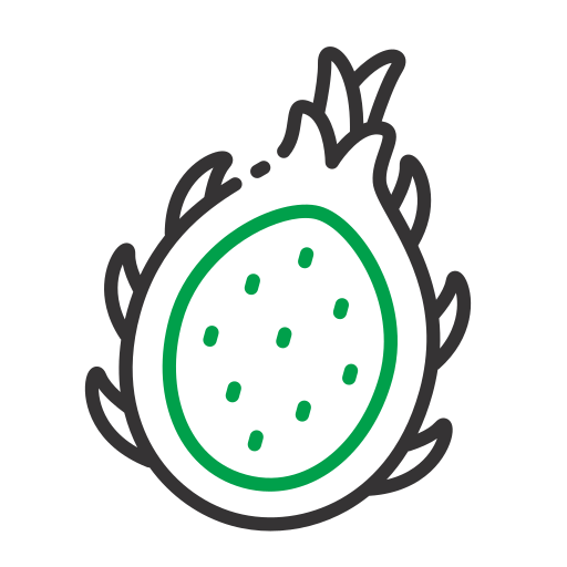 drakenfruit Generic color outline icoon