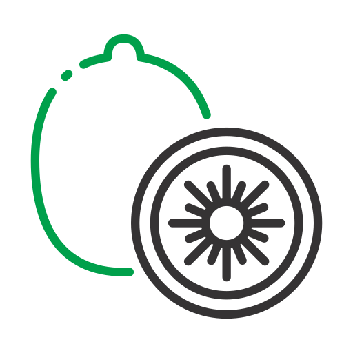 kiwi Generic color outline icono