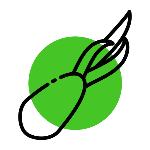 Зеленый лук Generic color lineal-color иконка