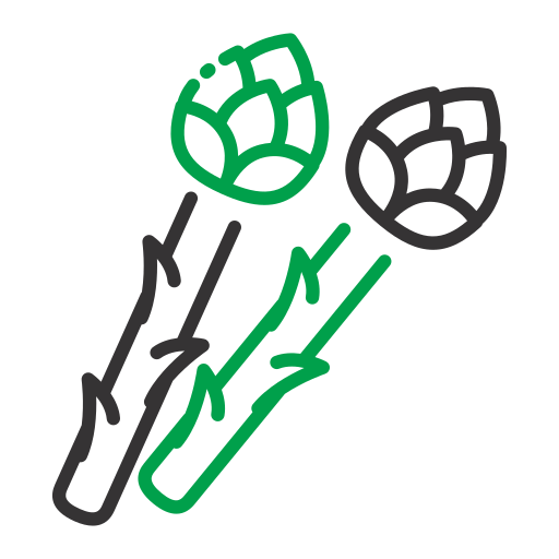 asparago Generic color outline icona