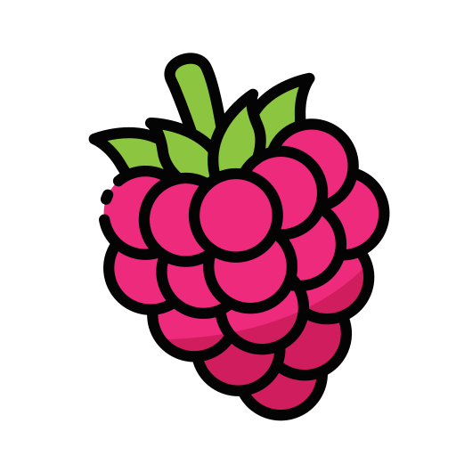 Raspberry Generic color lineal-color icon