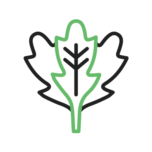 rucola Generic color outline icon