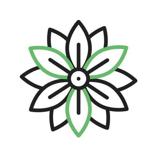 aster Generic color outline icon