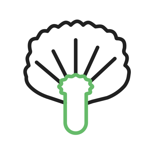 Chive blossoms Generic color outline icon