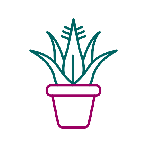 agave Generic color outline icon