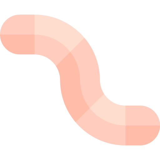 Worm Basic Straight Flat icon