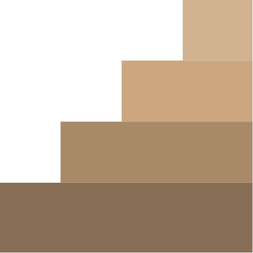 Stairs srip Flat icon