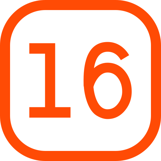 Number 16 Generic color outline icon