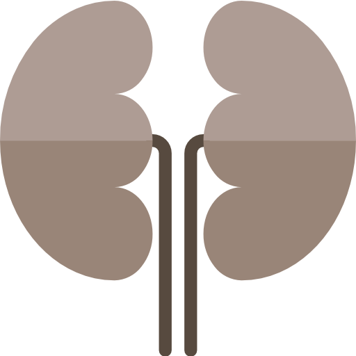 Kidney srip Flat icon