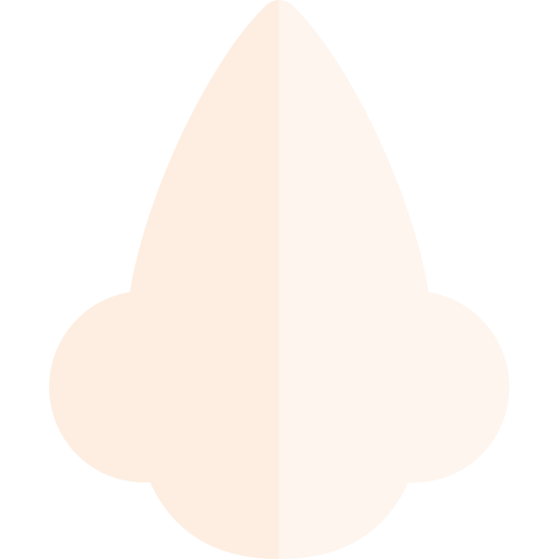 Nose srip Flat icon