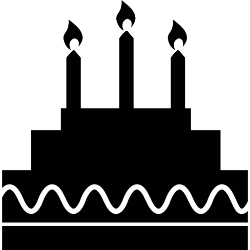 Birthday cake with candles  icon