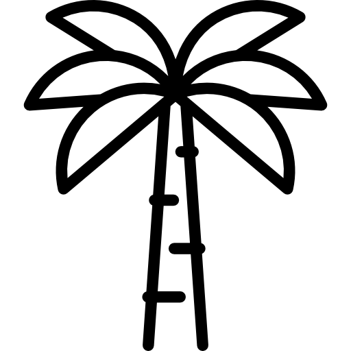 drzewo palmowe Special Lineal ikona
