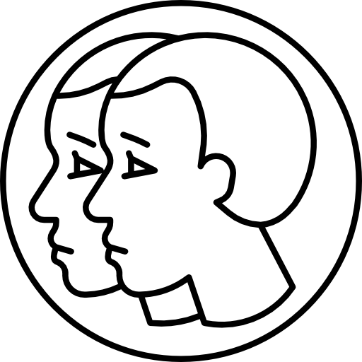 Gemini  icon