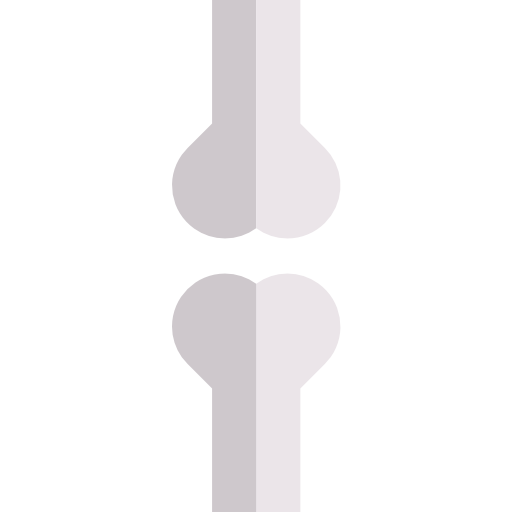 Кости srip Flat иконка