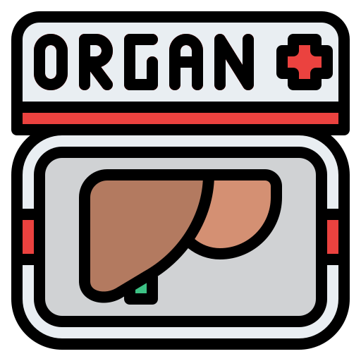 donación de organos Generic color lineal-color icono