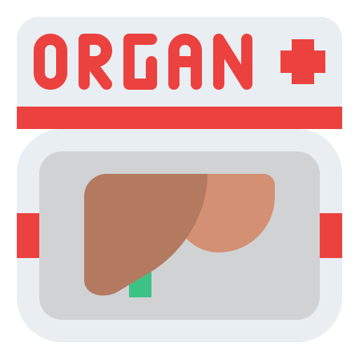 Organ donation Generic color fill icon