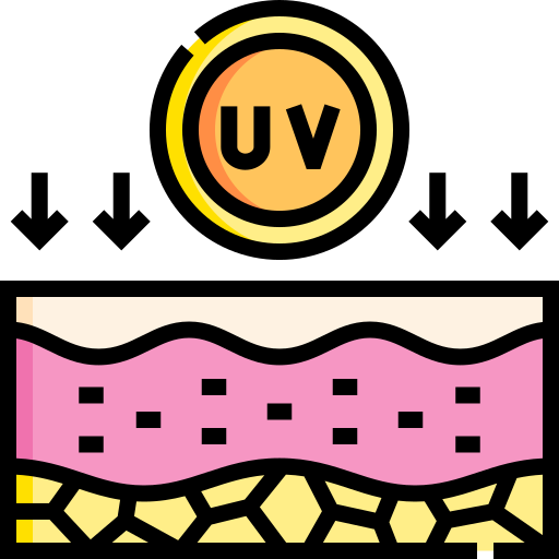 Uv Detailed Straight Lineal color icon