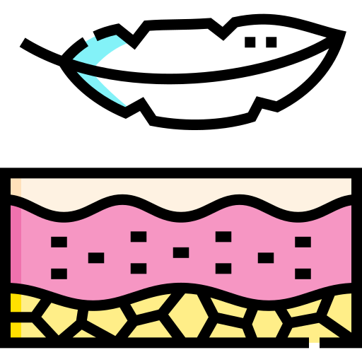 sensible Detailed Straight Lineal color icono