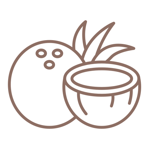 ココナッツ Generic color outline icon