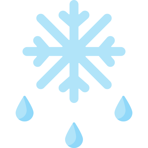 Frozen Special Flat icon