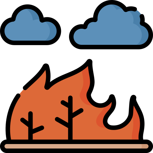 лесной пожар Special Lineal color иконка
