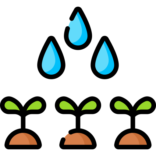 semilla Special Lineal color icono