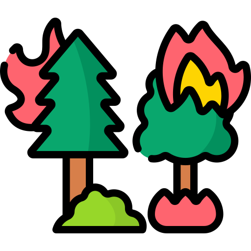 лесной пожар Special Lineal color иконка