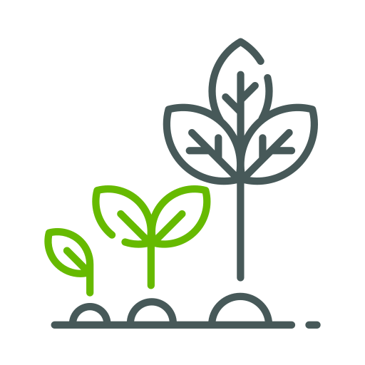성장하는 식물 Generic color outline icon